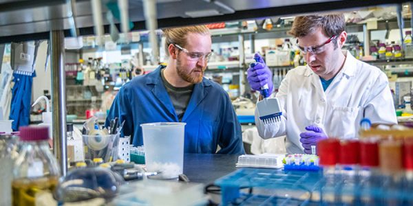 People working in a lab